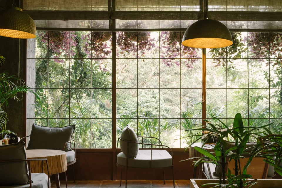 AMA Café — Rajpur Road